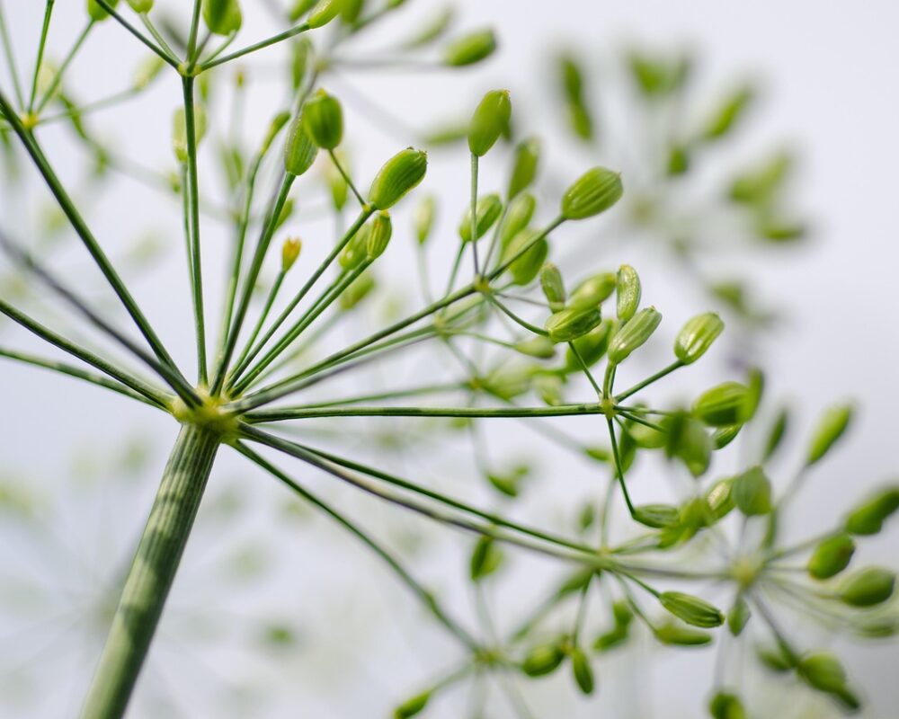 Rubrik saknas - Bild.