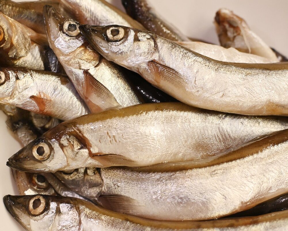 En värld av smaker och dofter från kök världen över - Bild.