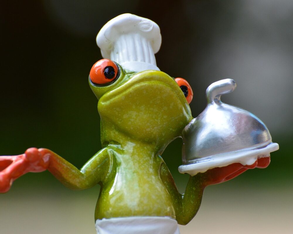 Kreativitet och enkelhet ihop i matlagningens värld - Bild.